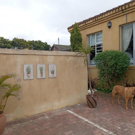 Toscana Cottage Πορτ Ελίζαμπεθ Εξωτερικό φωτογραφία